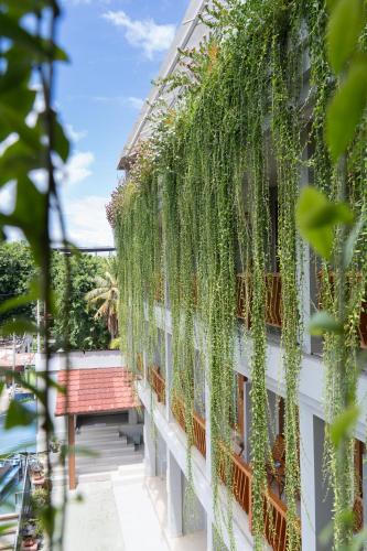 a building with ivy growing on the side of it at Komodo Lodge in Labuan Bajo
