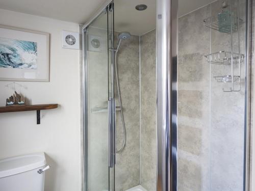 eine Dusche mit Glastür im Badezimmer in der Unterkunft Pixie Cottage in Dartmouth