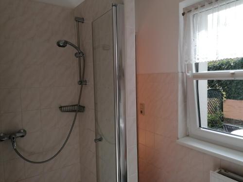 La salle de bains est pourvue d'une douche et d'une porte en verre. dans l'établissement Pension und Bistro" Dat olle Fischerhus", à Ralswiek