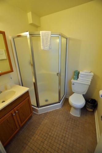a bathroom with a shower and a toilet and a sink at Stardust Motel in Wildwood