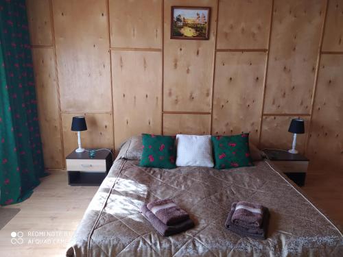 1 dormitorio con 1 cama con almohadas verdes en Apartament Widok, en Czarna Góra