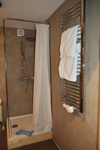 a bathroom with a shower with a shower curtain at Landgut Stetter in Schöllnach