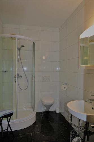 a bathroom with a shower and a toilet and a sink at Landgut Stetter in Schöllnach