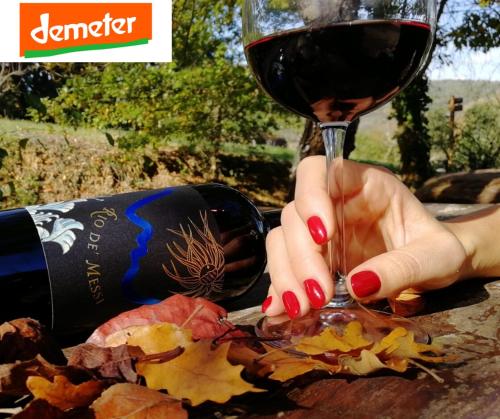 a person holding a glass of wine next to a table at La Cerreta - Terme di Sassetta in Sassetta