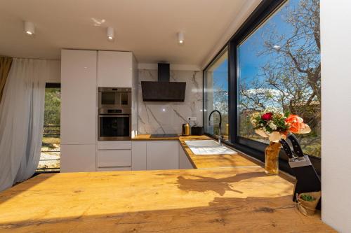 Η κουζίνα ή μικρή κουζίνα στο Dalmatian Oasis Luxury Villa