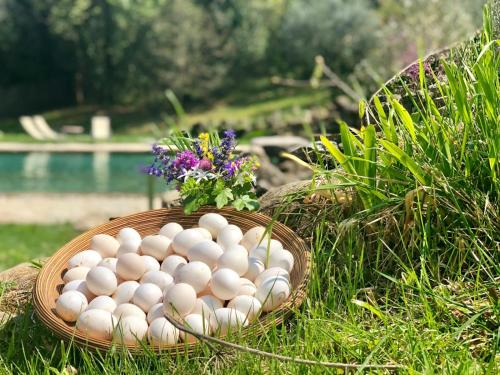 a basket of eggs sitting on the grass next to a pool at La Cerreta - Terme di Sassetta in Sassetta