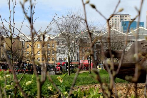 NOX Waterloo photo 104