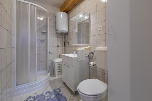 ein Bad mit einem WC, einer Dusche und einem Waschbecken in der Unterkunft JOVANOVIC in Selce
