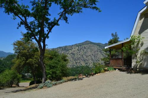 a house with a tree and a mountain in the background at The Quail's Nest in Three Rivers