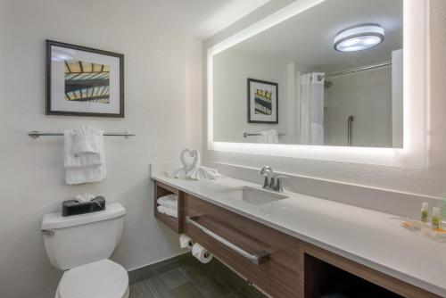 a bathroom with a sink and a toilet and a mirror at Holiday Inn Savannah South - I-95 Gateway, an IHG Hotel in Savannah