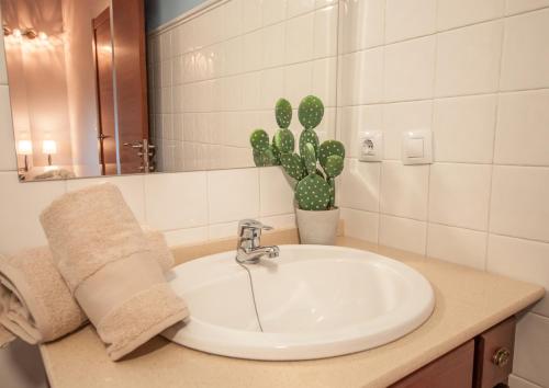 a bathroom with a sink and a cactus at La Arcadia de Portillo in Portillo