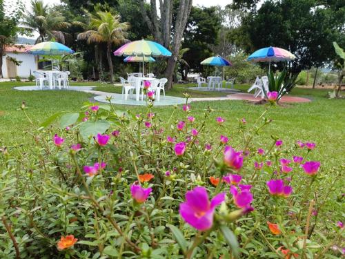 a park with tables and umbrellas and flowers at Pousada Toca da Raposa in Cavalcante