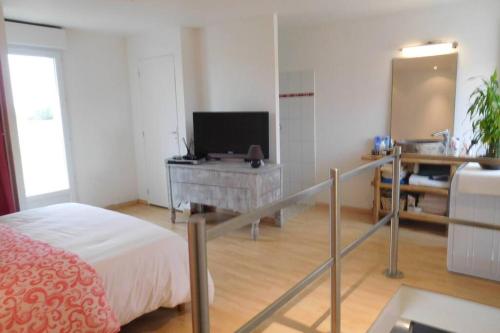 - une chambre avec un lit et une télévision dans l'établissement Le pigeonnier, à Chouzy-sur-Cisse