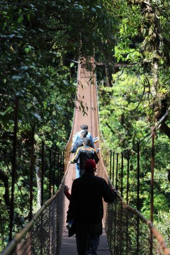 a group of people walking across a suspension bridge at TREE TREK BOQUETE Adventure Park in Boquete