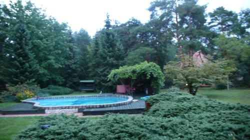 a swimming pool in the middle of a garden at DOM 4 POKOJE Z BASENEM BLISKO WARSZAWY in Józefów