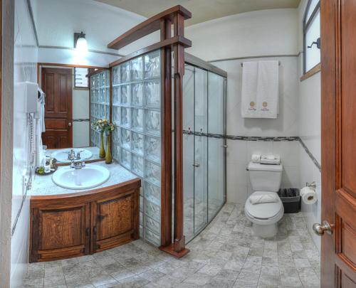 a bathroom with a shower and a toilet and a sink at Hotel Santa Paula in Taxco de Alarcón