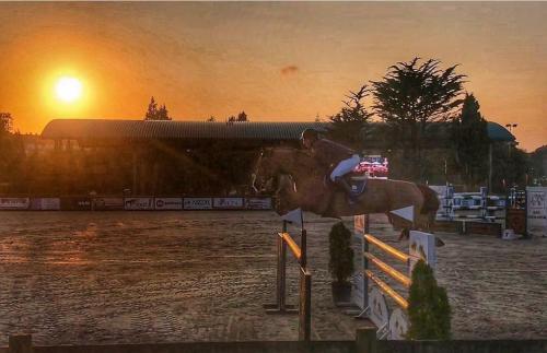 a person riding a horse jumping over a fence at ALBOR II in Gijón