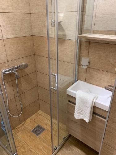 Koupelna v ubytování Apartman Dacaa