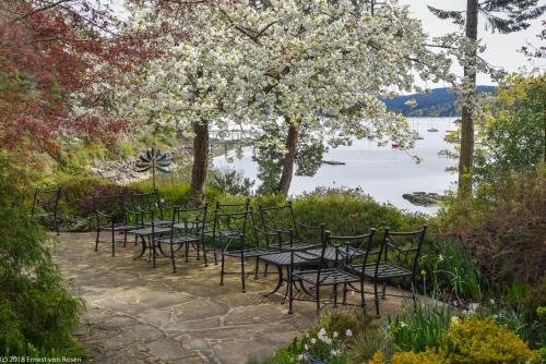 a row of tables and chairs under a tree with a lake at Hastings House Country House Hotel in Ganges