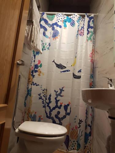 a bathroom with a shower curtain with a toilet and sink at ALBOR II in Gijón