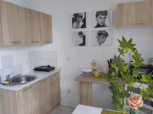 Η κουζίνα ή μικρή κουζίνα στο APARTAMENT JASNY NOCLEGI PŁOCK