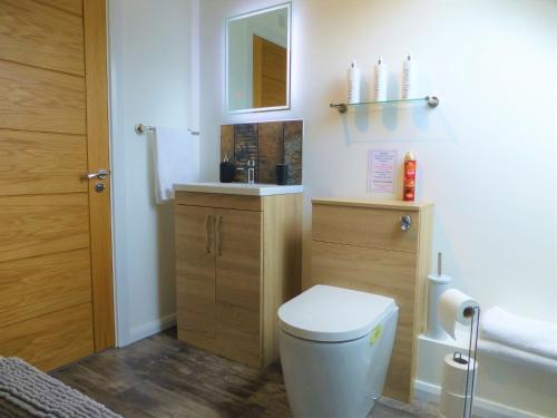a bathroom with a toilet and a sink and a mirror at Gerycastell Luxury Holiday Apartment with Stunning Views & EV Station Point in Carmarthen