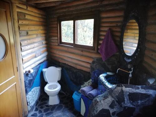 a bathroom with a toilet in a log cabin at Hospedaje Solentiname in Medellín