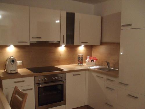 Η κουζίνα ή μικρή κουζίνα στο apArtment kAtrin & gerhArd