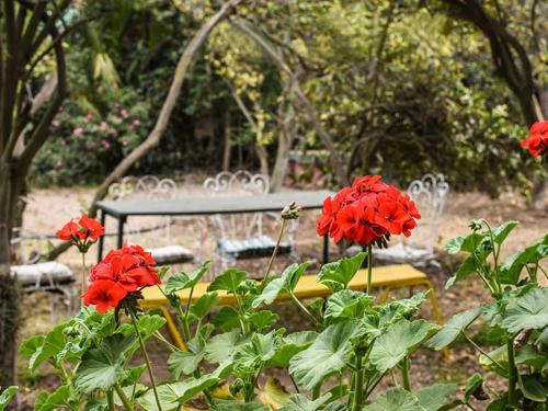 a bench and red flowers in front of a park at Casa Campo Lindo in Olmué