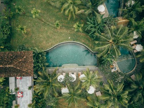 Piscina di Alaya Resort Ubud o nelle vicinanze