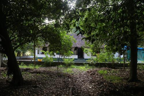 En have udenfor The Mana-Heritage stay - Chengazhimattam Mana