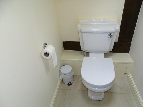a bathroom with a toilet and a roll of toilet paper at Ellesmere Hotel in Ellesmere
