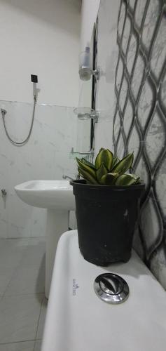 a plant sitting on top of a toilet in a bathroom at Desire Village Rakwana in Rakwana