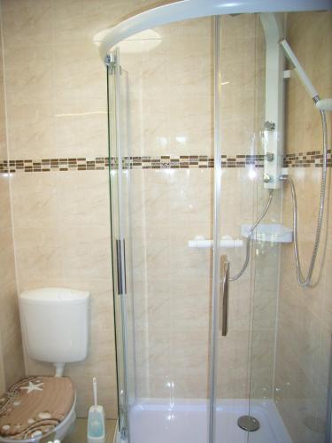 a bathroom with a shower and a toilet at Ostsee Hotel-Pension An der Lindenallee in Bad Doberan