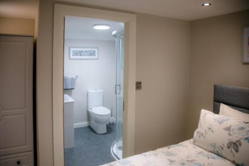 a bathroom with a shower and a toilet and a bed at Eske Holiday Apartment in Donegal