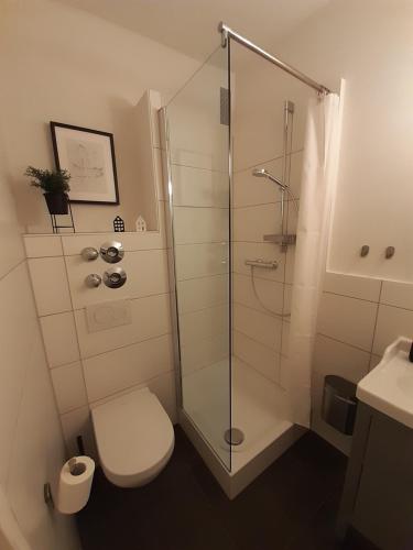 ein Bad mit einer Dusche, einem WC und einem Waschbecken in der Unterkunft Apartment in zentraler Lage Kassels in Kassel