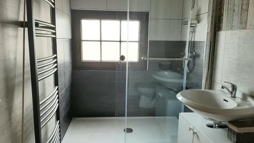 uma casa de banho com um lavatório, um WC e um chuveiro em Gîte l'Amandina - Porcheresse em Daverdisse