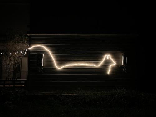 a light sculpture of a dog on a bench at night at White Cat B&B in Jinning