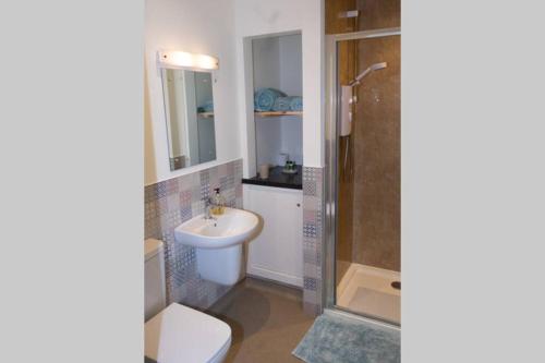 a bathroom with a toilet and a sink and a shower at Drumossie Bothy in Inverness