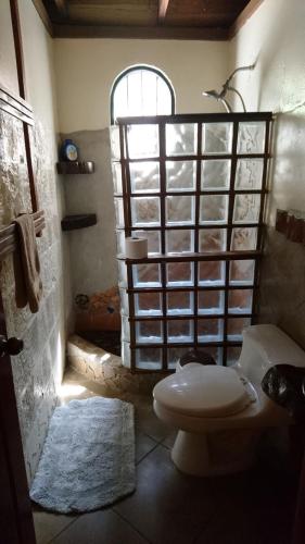 a bathroom with a toilet and a window at Casa Verde, Cahuita in Cahuita