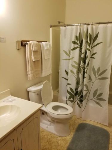 y baño con aseo y cortina de ducha. en Kancamagus Swift River Inn en Albany