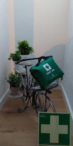 a bike with a green bag sitting next to some plants at El Refugio de Su - Casa Rural in Auñón