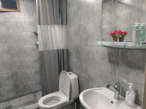 a bathroom with a toilet and a sink at Old Tbilisi Apartments in Tbilisi City