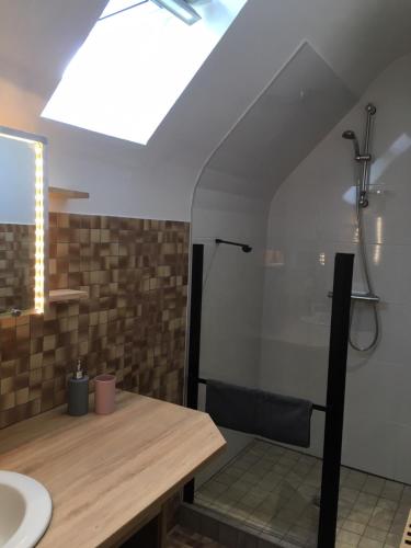 une salle de bain avec un lavabo et une douche dans l'établissement LA CHAMADE, à Carolles