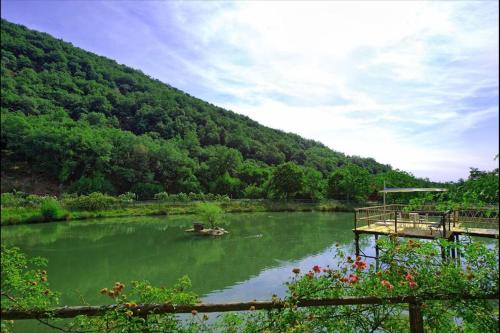 a river with a wooden bridge and a mountain at Agriturismo Fattoria Celle in Figline Valdarno