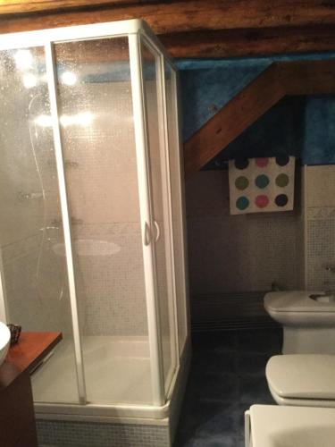 a bathroom with a shower and a toilet at Casa Carbonero in Lascuarre