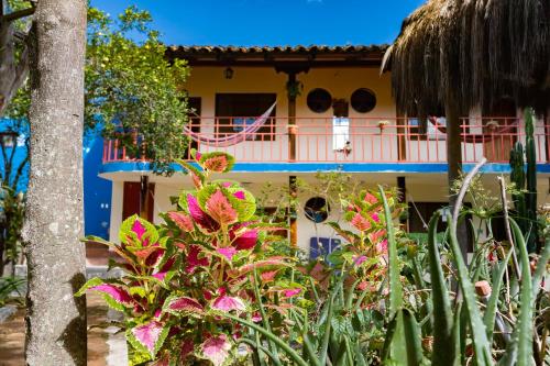Κήπος έξω από το Hostal Jardín Escondido