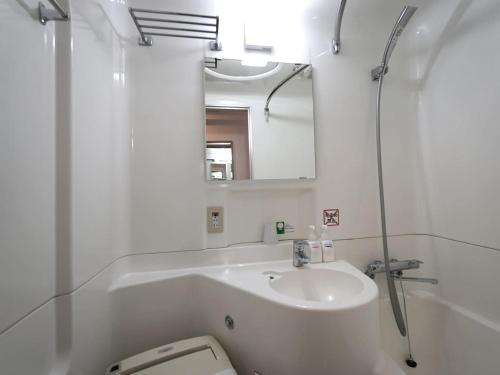 a bathroom with a sink and a toilet and a mirror at Hotel The Centre Utsunomiya in Utsunomiya