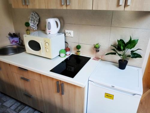 Kuhinja oz. manjša kuhinja v nastanitvi Berlin apartment