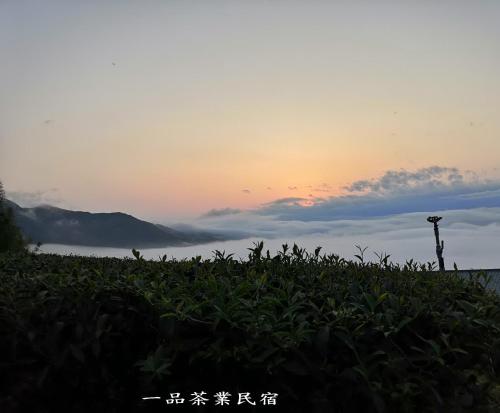 a view of the sunset from a tea plantation at Gaodiyuan Tea B&B 高帝園茶業民宿 in Meishan